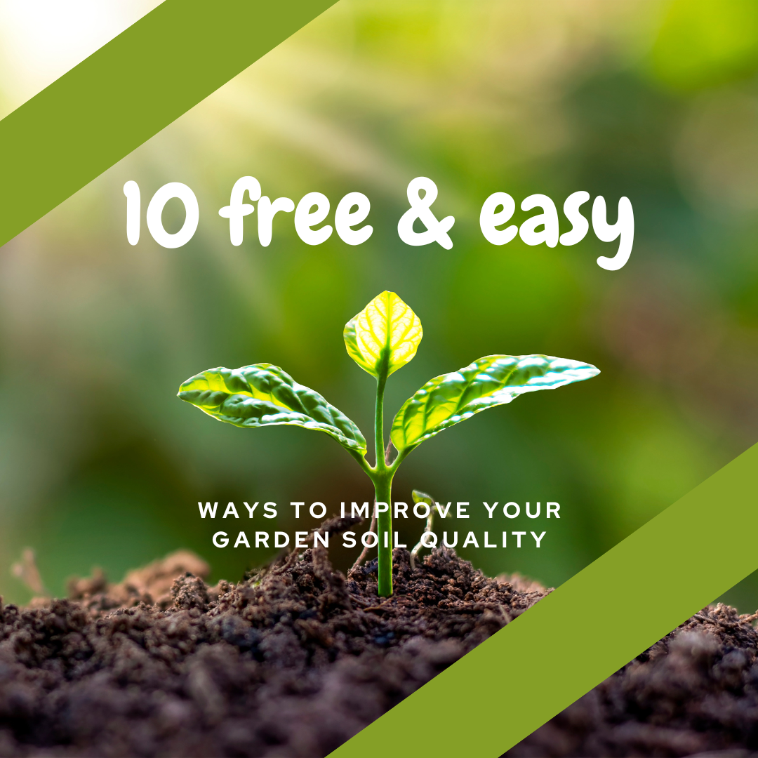 10 free and easy ways to improve your garden soil quality