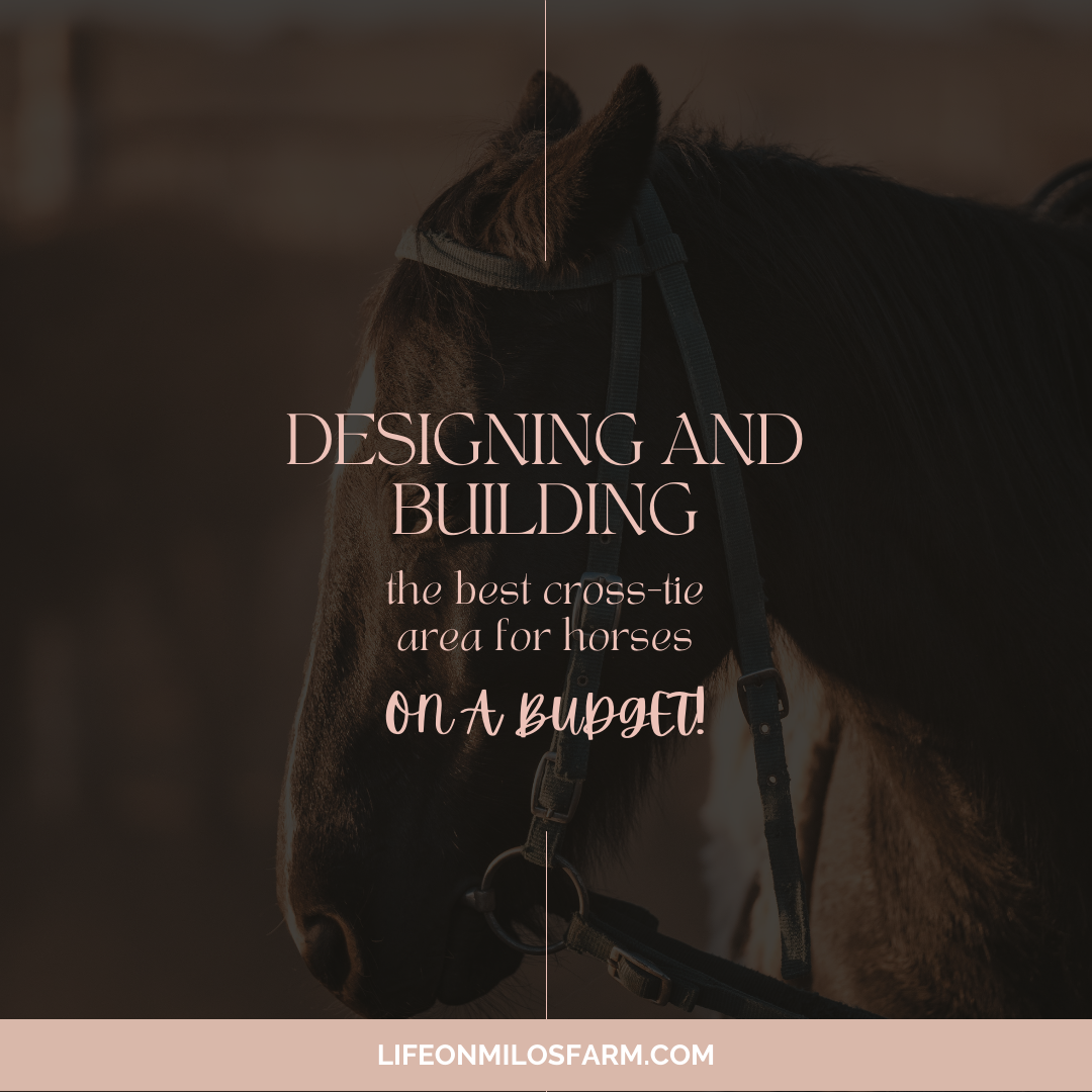 Designing and building the best cross-tie area for horses on a budget!