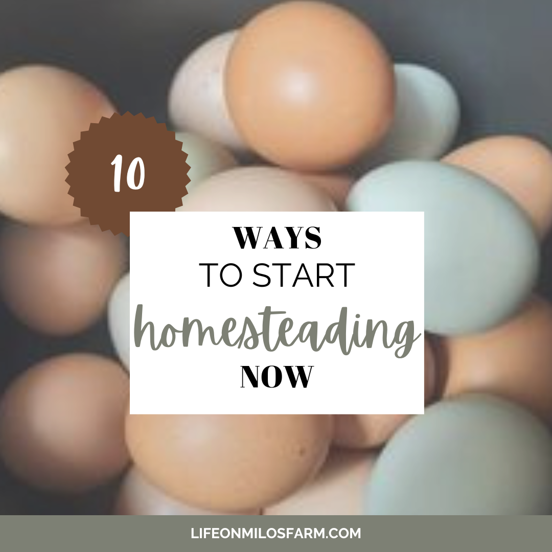 10 ways to start homesteading now (1)