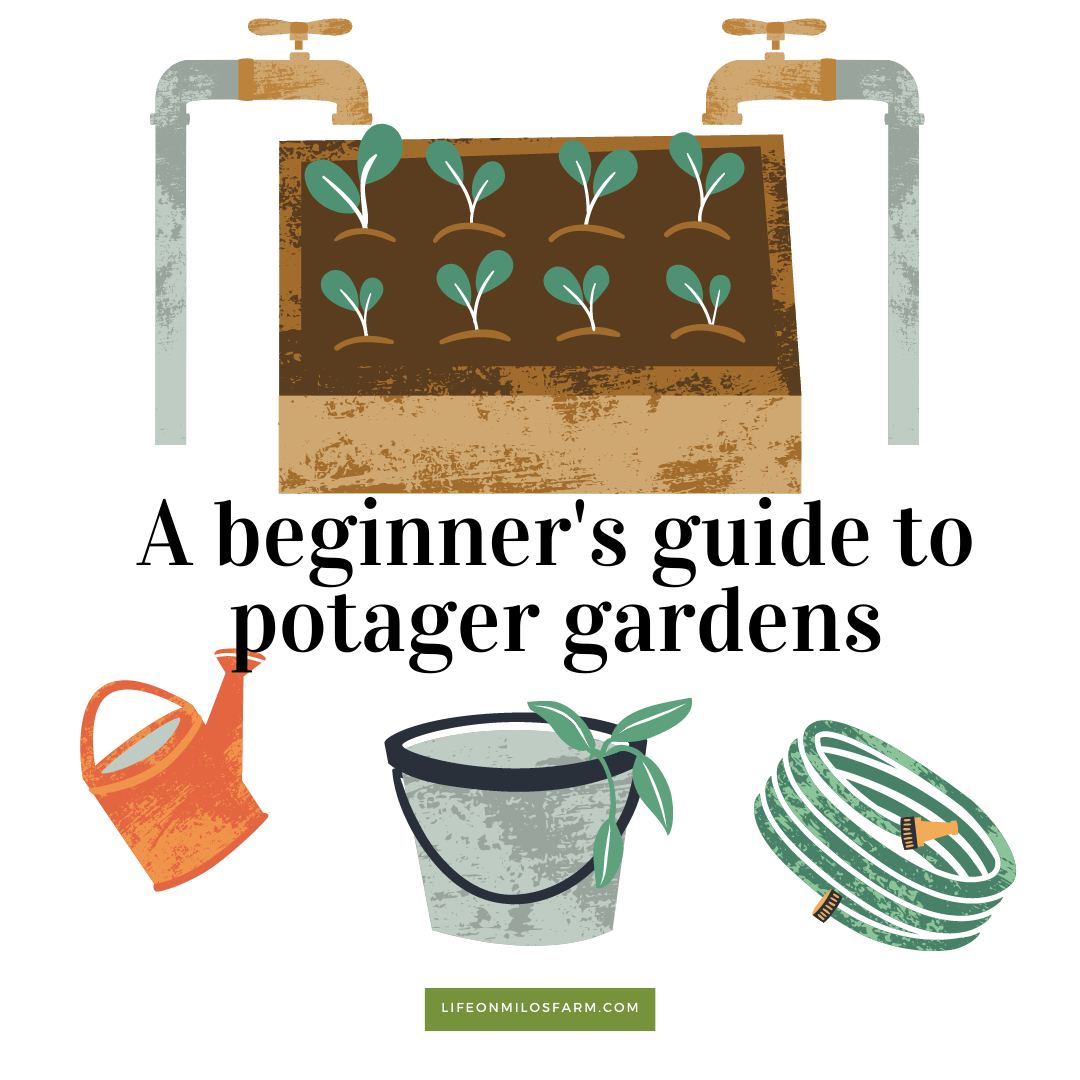 A beginner's guide to potager gardens