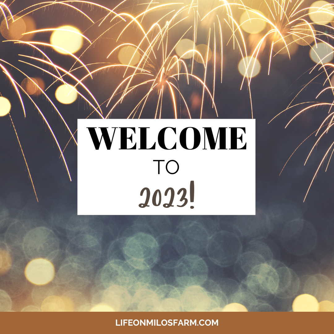 blog post image with banner and fireworks background