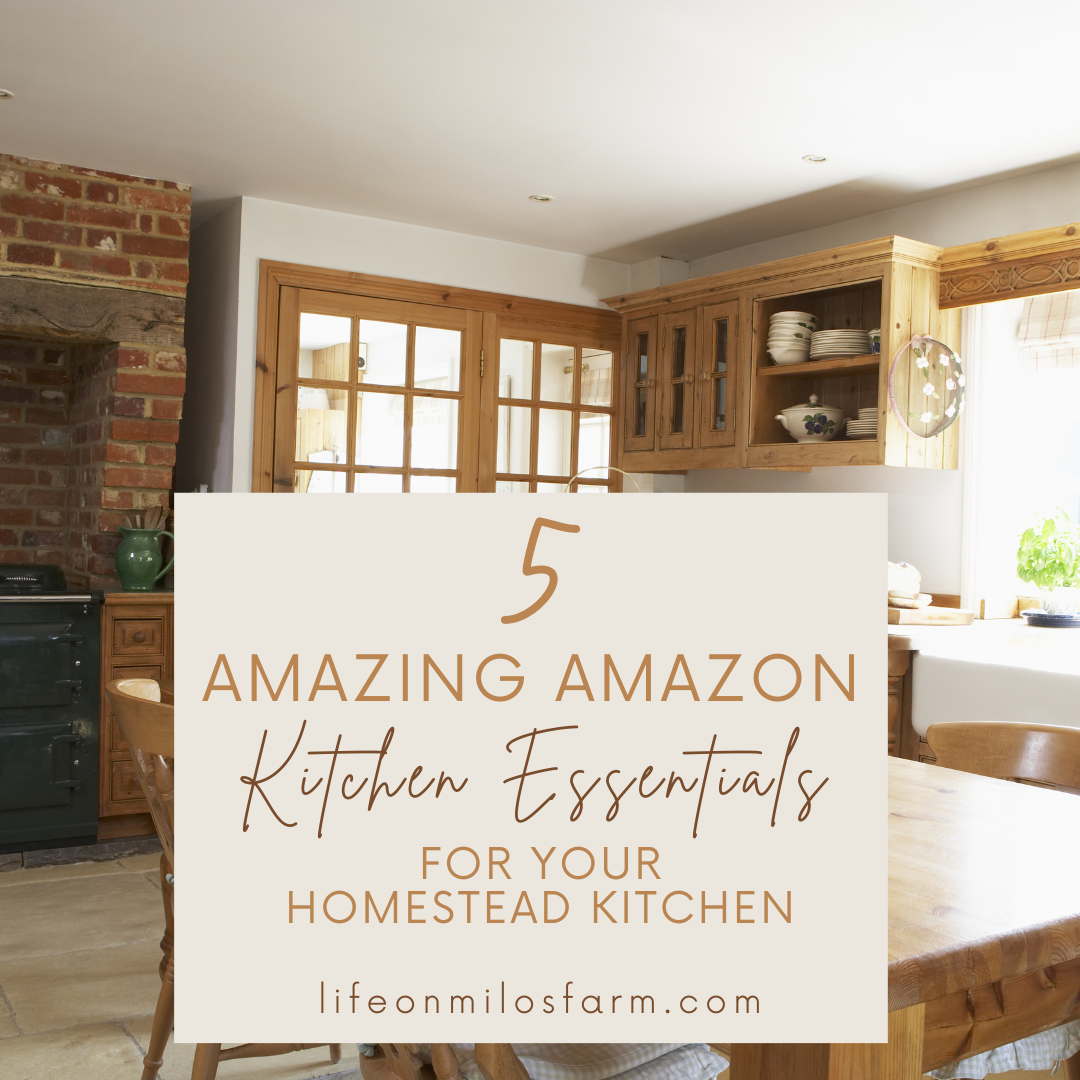 5 amazing Amazon kitchen essentials for your homestead kitchen