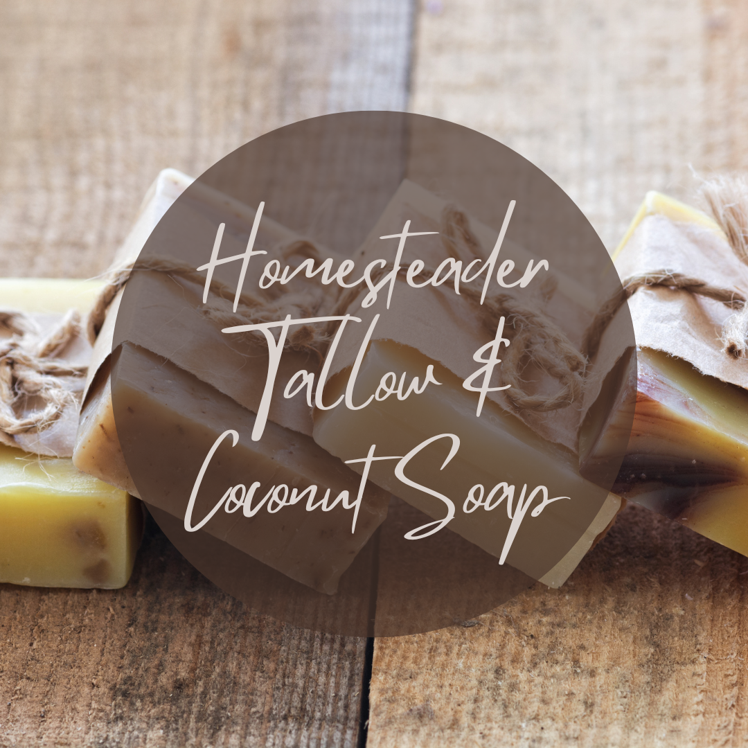 Homesteader Tallow and Coconut Soap
