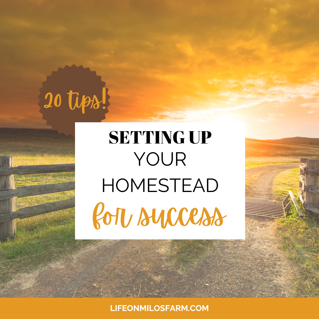 setting up your homestead for success - 20 guaranteed tips to thrive - life on milo's farm