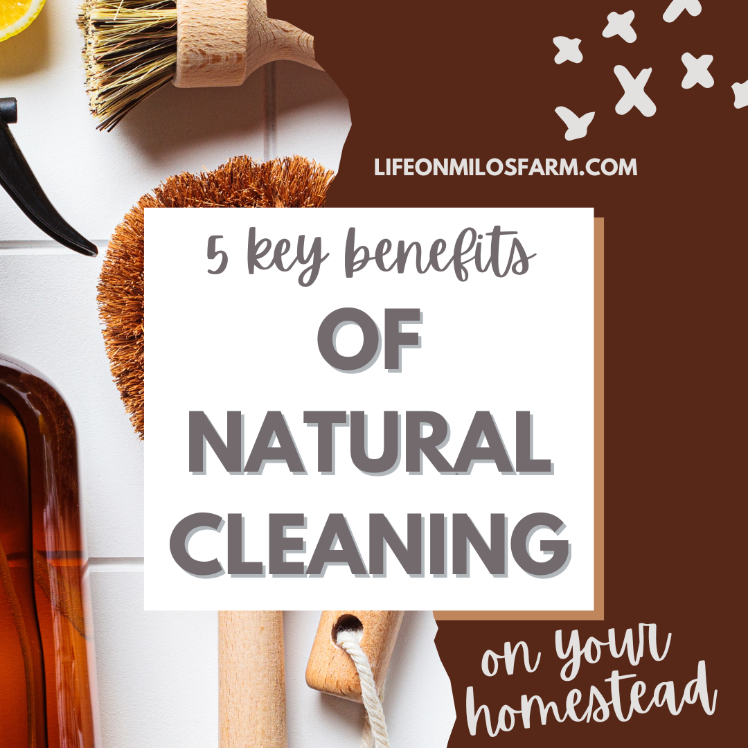 5 key benefits of natural cleaning on your homestead