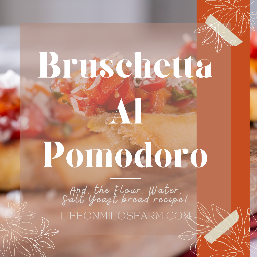 Bruschetta Al Pomodoro, Bruschetta recipe, flour, Water, Salt, Yeast bread recipe