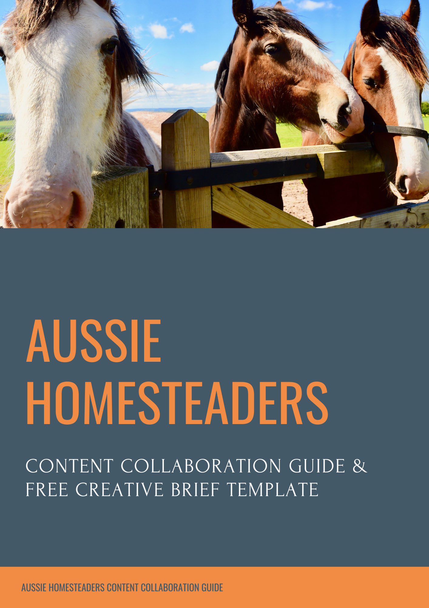 Aussie Homesteaders Content Collaboration Guide & FREE Creative Brief Template Download